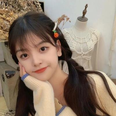 本小姐乃白鸟丽子 电影版海报